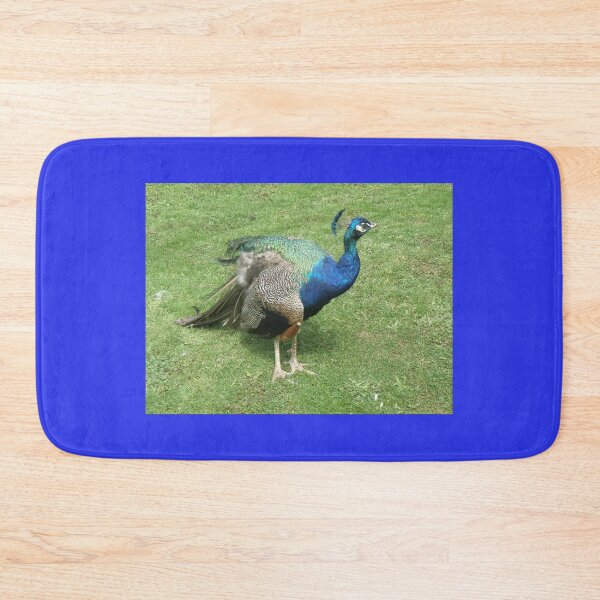 Item preview, Pretty as a Peacock Photograph designed and sold by naturegallery.