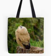 Barred owlet Tote Bag