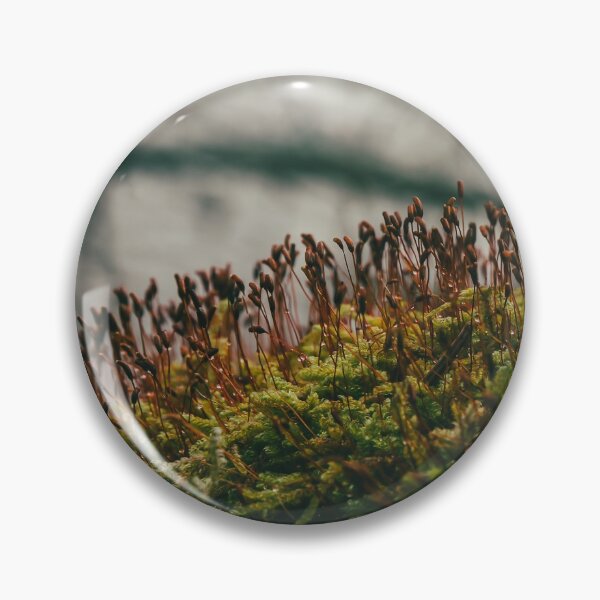 Item preview, Moss with sporophytes designed and sold by urbonasphotos.