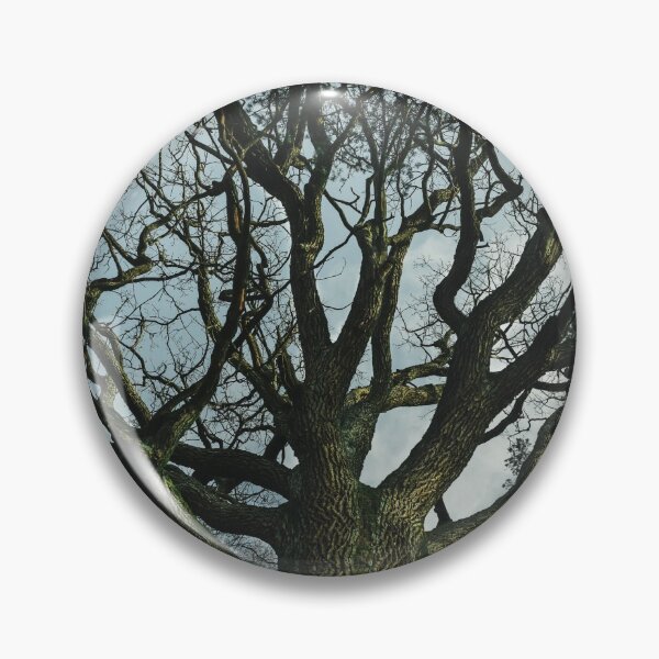 Item preview, Old oak tree designed and sold by urbonasphotos.