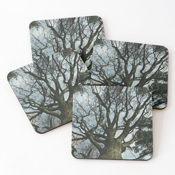 Item preview, Old oak tree designed and sold by urbonasphotos.