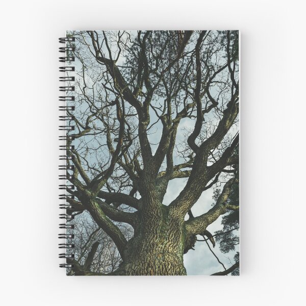 Item preview, Old oak tree designed and sold by urbonasphotos.