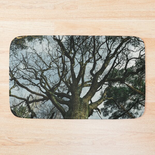 Item preview, Old oak tree designed and sold by urbonasphotos.