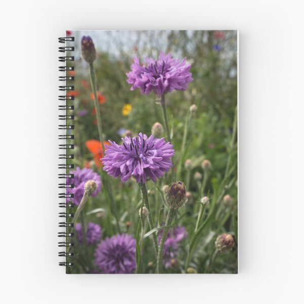Item preview, Flores de primavera en el sol designed and sold by Jon Rendle.
