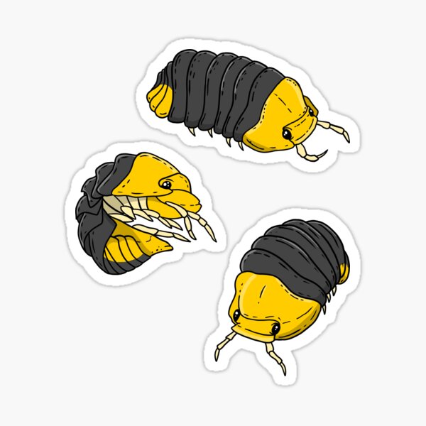 kawaii isopod