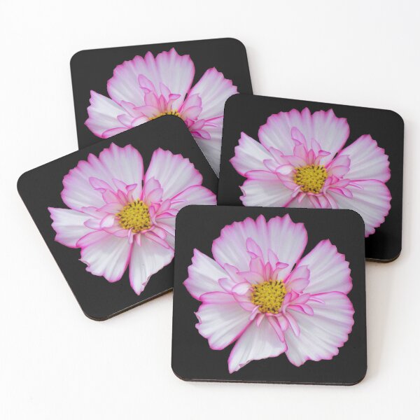 Item preview, Flower in pink & white, flowers, blossom, garden, nature designed and sold by rhnaturestyles.