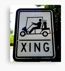 X I N G Canvas Print