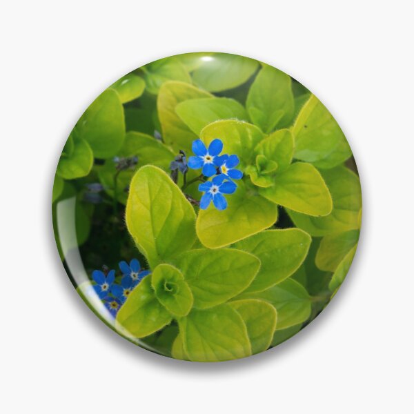 Item preview, Mint and Forget-Me-Nots designed and sold by Jon Rendle.
