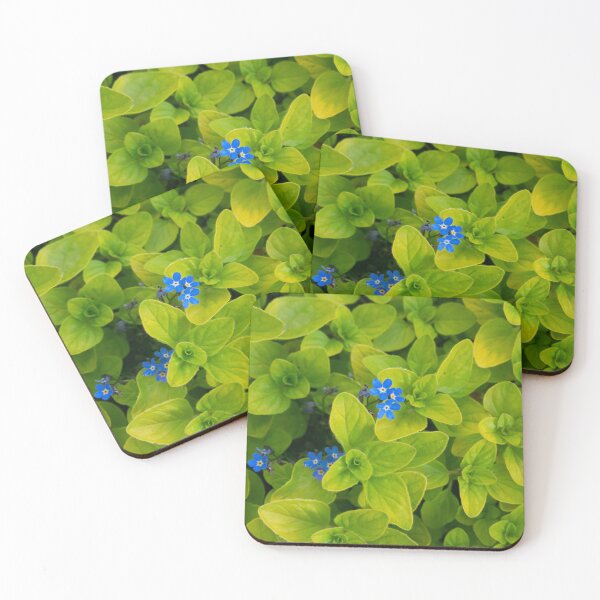 Item preview, Mint and Forget-Me-Nots designed and sold by Jon Rendle.