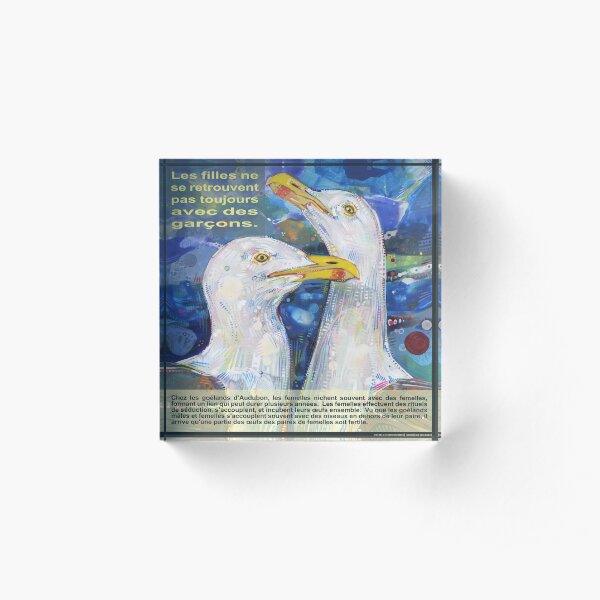 Léger comme un Oiseau (Le Goéland d'Audubon) Acrylic Block
