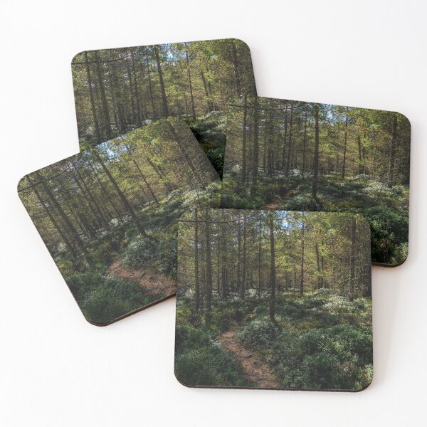 Item preview, Aviemore woodland in the Cairngorms National Park. designed and sold by iCimages.net.