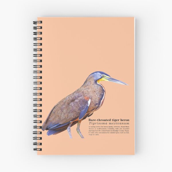 Item preview, Bare-throated tiger heron bird at the beach designed and sold by Mauricio Acosta.