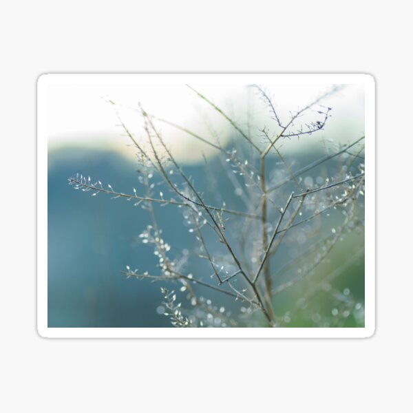 Songe Sticker