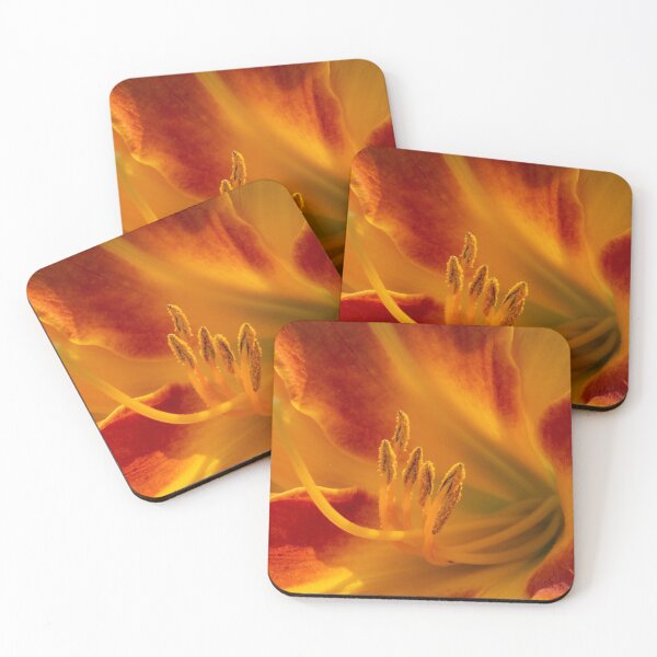 Item preview, Orange Amaryllis Lily designed and sold by Jon Rendle.