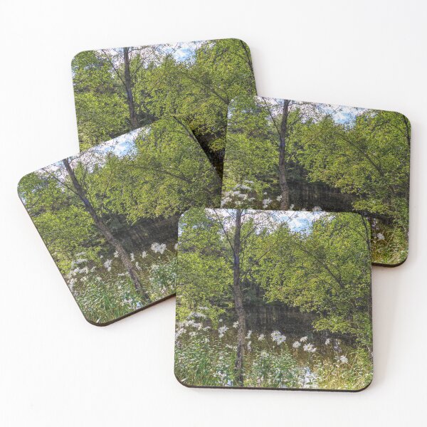 Item preview, Aviemore woodland in the Cairngorms National Park. designed and sold by iCimages.net.