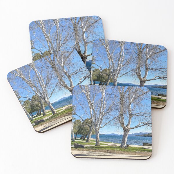 Item preview, Cinco de Mayo Lake George Style designed and sold by Kendall McKernon.