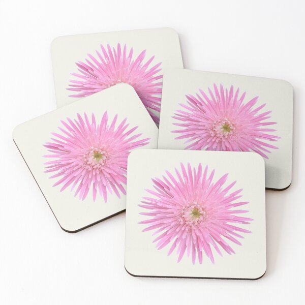 Item preview, Pink Gerbera on Cream designed and sold by STHogan2.