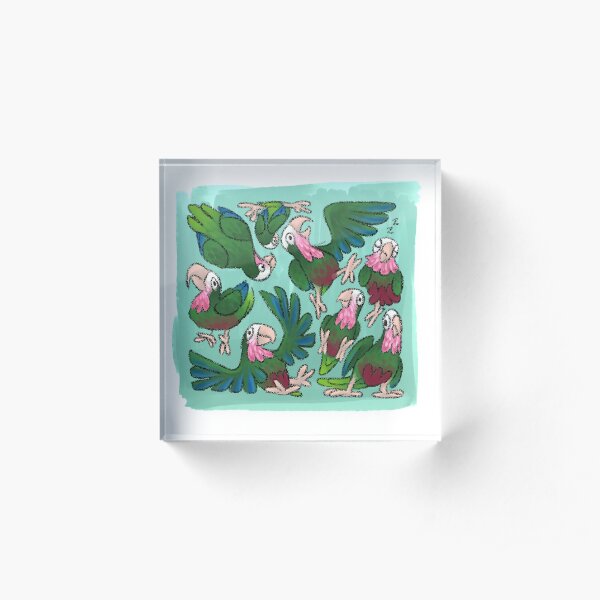 Cuban Amazon Cube Acrylic Block