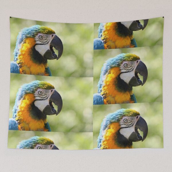 Item preview, I'm Wonderful - Blue-and-yellow Macaw designed and sold by Jo Nijenhuis.