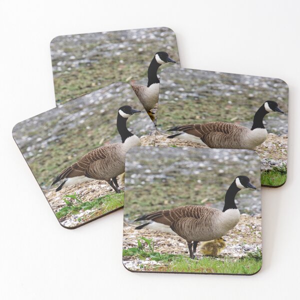 Item preview, "Stay close and I'll protect you." designed and sold by Nancy Richard.