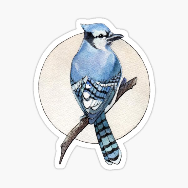 Flying Bird Blue Jay' Sticker