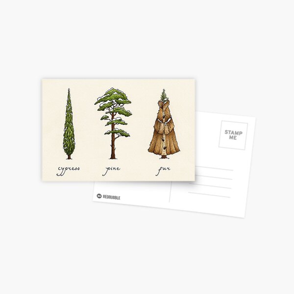 Fur Tree Postcard