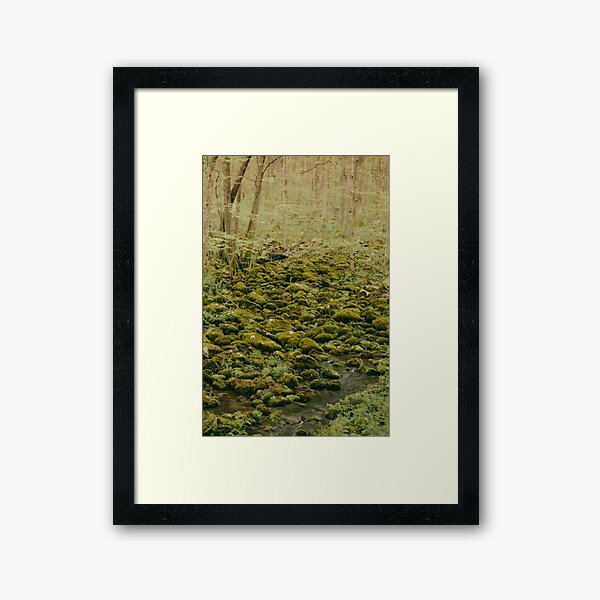 Mossy Stream Framed Art Print