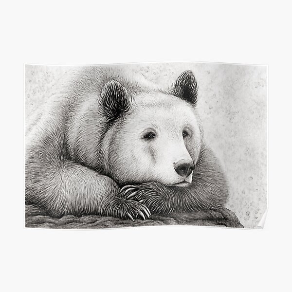 Brooding Bear Poster