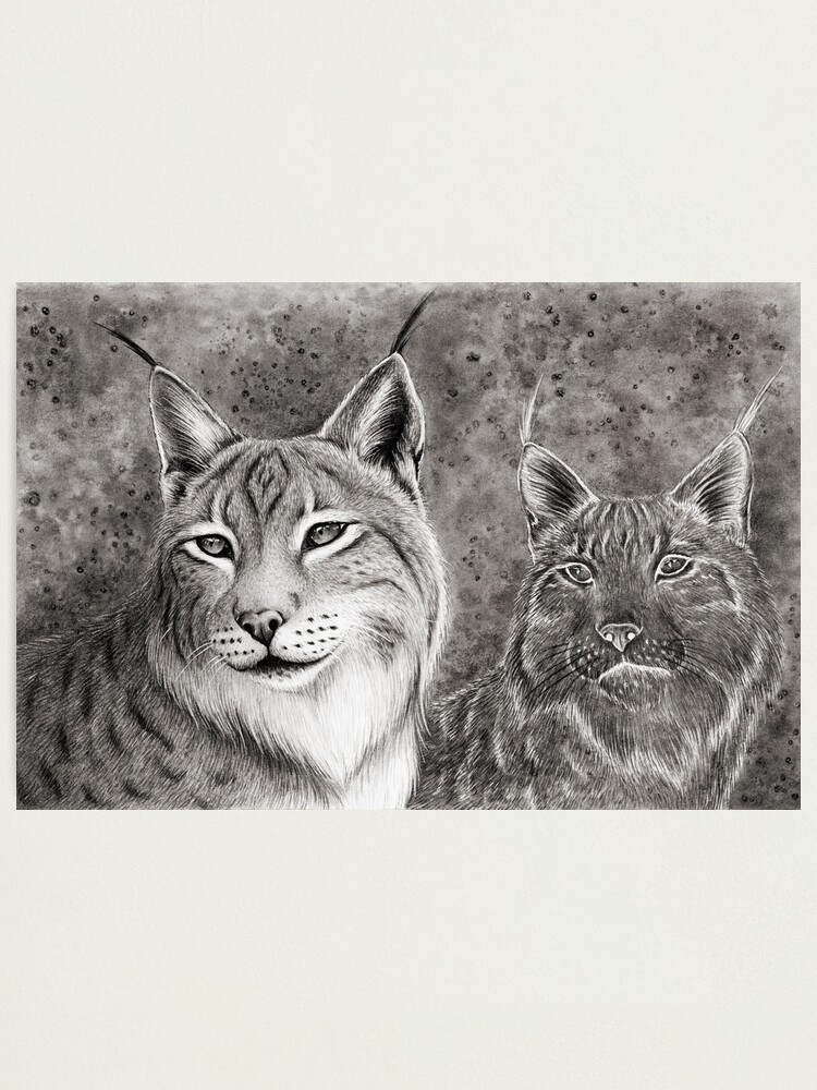 Alternate view of Ever Watchful Eurasian Lynx Photographic Print