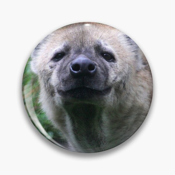 Item preview, Eye to Eye Hyena designed and sold by Jo Nijenhuis.