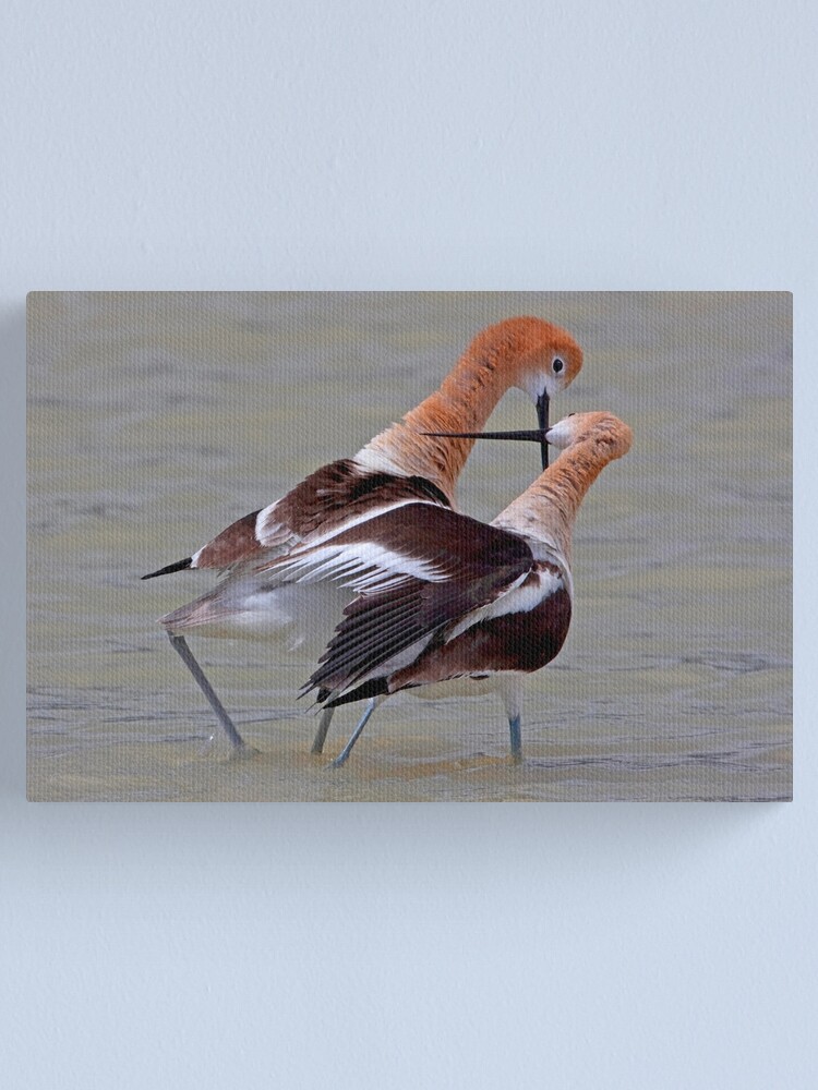 Alternate view of Crossed Bills Canvas Print