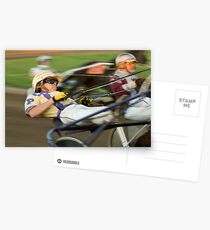 Harness Racing Postcards
