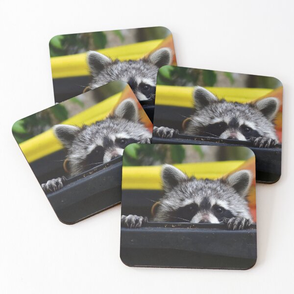 Item preview, racoon designed and sold by Glineur.