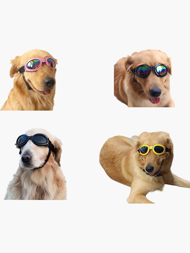 cool dog in a hat and sunglasses Sticker for Sale by Evaskov