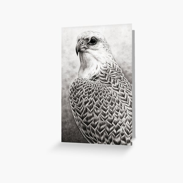 The Gyrfalcon Greeting Card