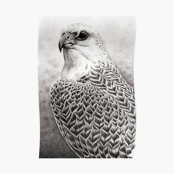 The Gyrfalcon Poster