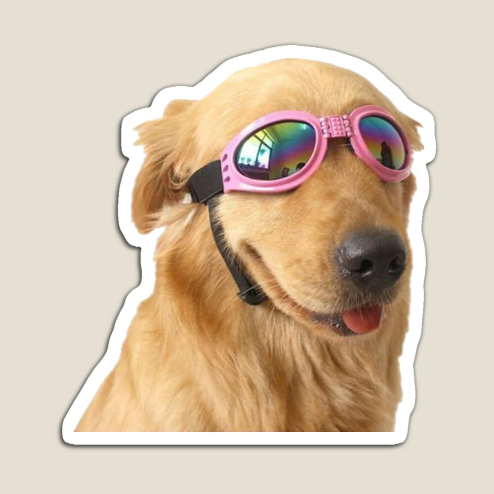 cool dog in a hat and sunglasses Sticker for Sale by Evaskov