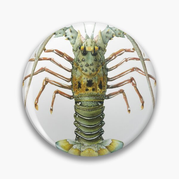 Item preview, green spiny lobster Watercolor designed and sold by Dorian NOEL.