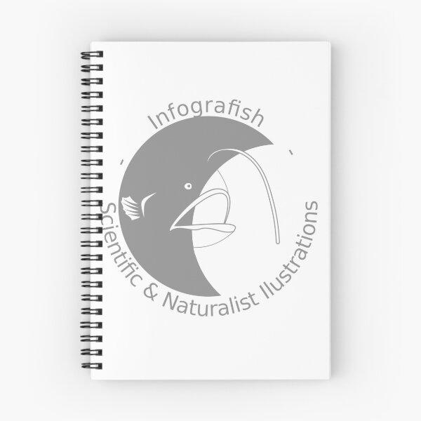 Artikelvorschau, Infografisches Logo entworfen und verkauft von Dorian NOEL.