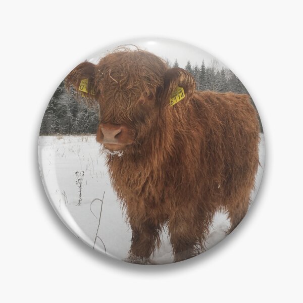 Item preview, Scottish Highland Cattle Calf 1862 designed and sold by SaarelaHighland.