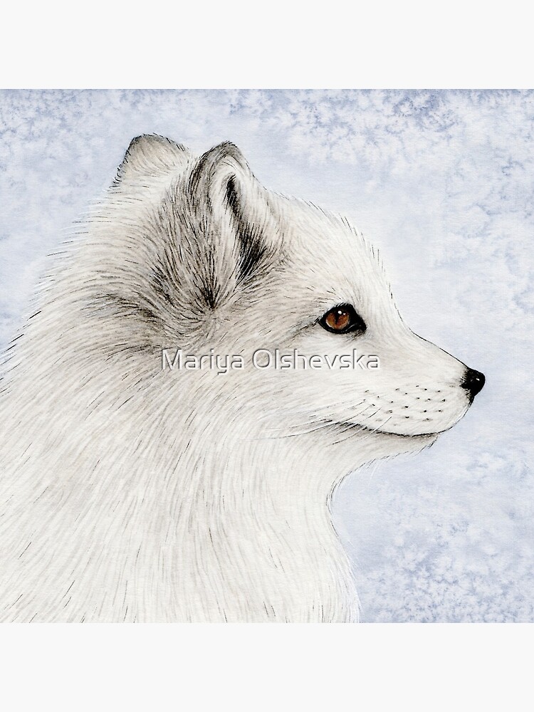 Polar Fox Profile by OzureFlame
