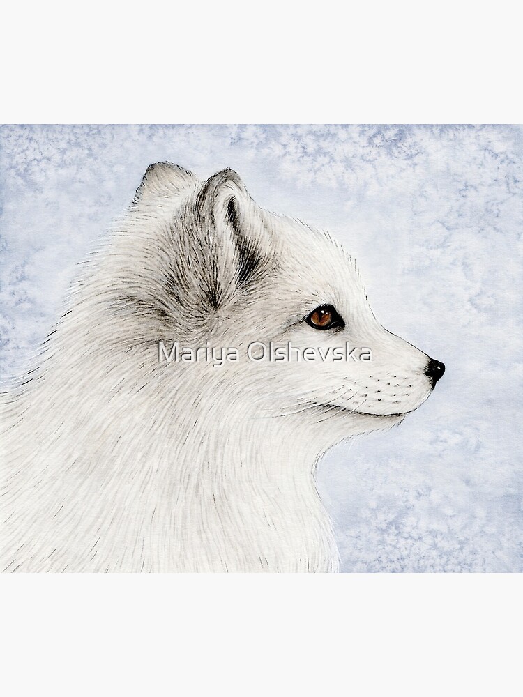 Polar Fox Profile by OzureFlame