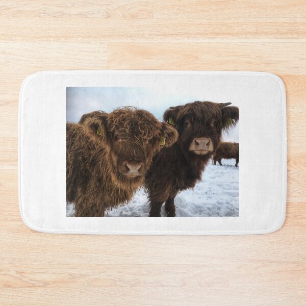 Item preview, Scottish Highland Cattle Calves 1866 designed and sold by SaarelaHighland.