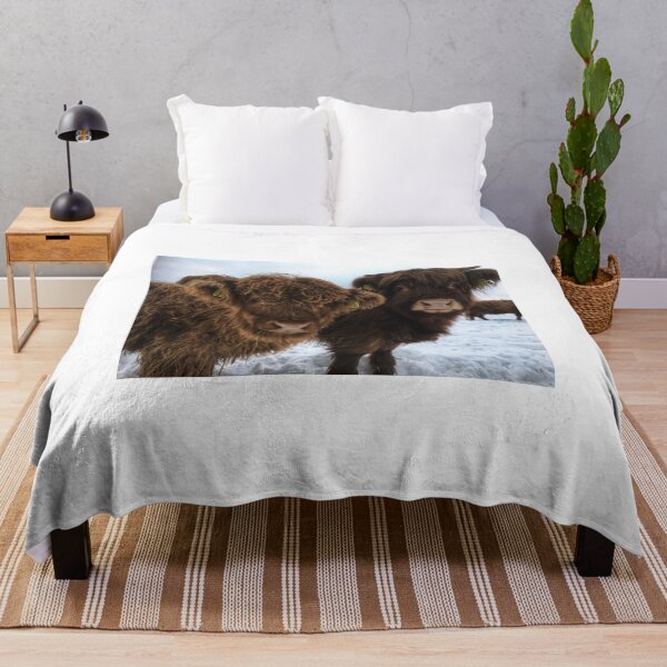 Item preview, Scottish Highland Cattle Calves 1866 designed and sold by SaarelaHighland.