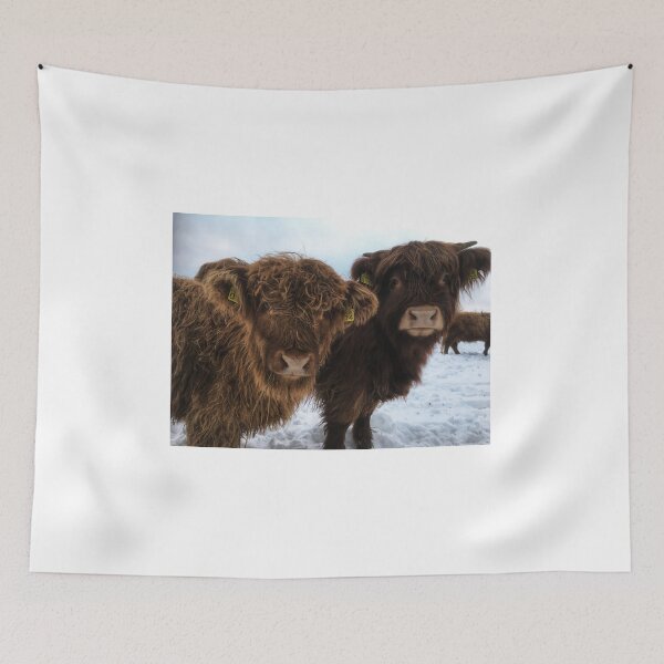 Item preview, Scottish Highland Cattle Calves 1866 designed and sold by SaarelaHighland.