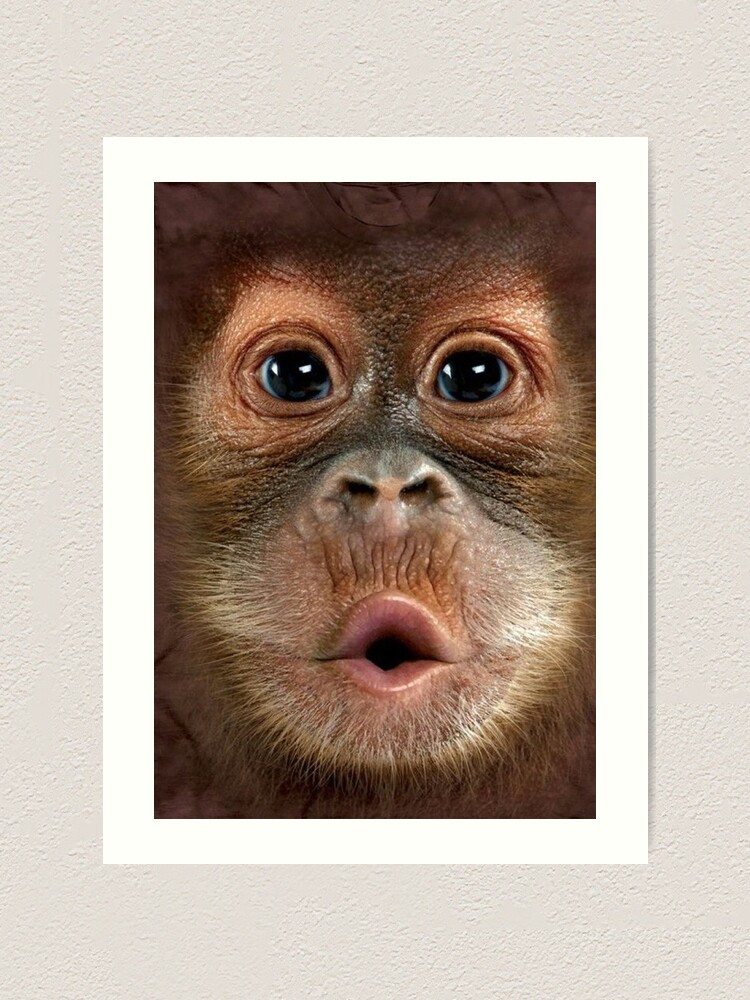 Monkey Mask Screaming Funny Monkey Mask Chimpanzeemask Funny Monkey Face Mask Forestanimal Mask Art Print By Migii Redbubble