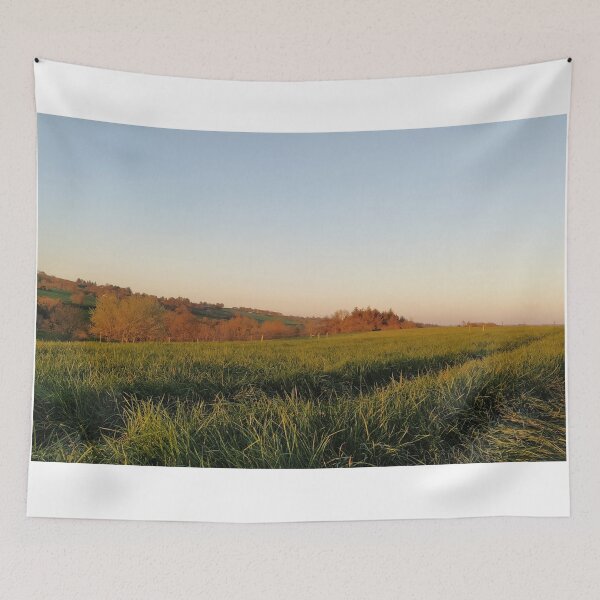 Item preview, The Last of the evening sun designed and sold by lynchhorizon.