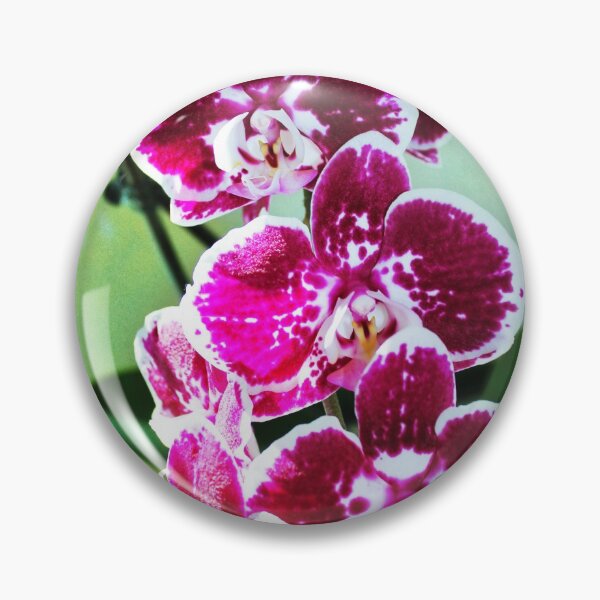 Artikelvorschau, Pink-Motten-Orchidee entworfen und verkauft von dahlymama.