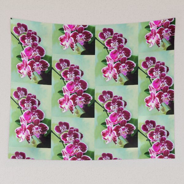 Item preview, Hot Pink Moth Orchid designed and sold by dahlymama.