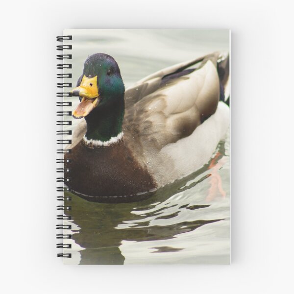 Item preview, Happy little Duck designed and sold by ValueEveryThing.